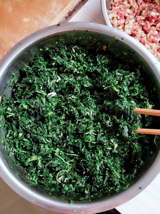 野菜人就菜馅大饺子
,加入<a style='color:red;display:inline-block;' href='/shicai/ 288'>虾皮</a>，食用油，<a style='color:red;display:inline-block;' href='/shicai/ 788'>生抽</a>，<a style='color:red;display:inline-block;' href='/shicai/ 847'>香油</a>，盐！