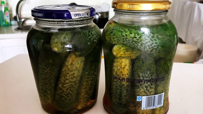 开胃小菜 俄式乳瓜,12小时之后的状态,汤汁已经没过乳瓜,把瓶子放入冰箱冷藏腌制5天