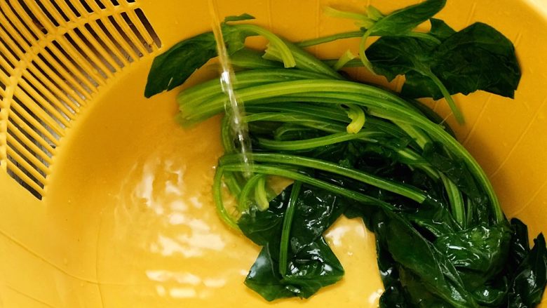 快手营养早餐17,菠菜焯好之后,捞出过凉水(纯净水)冷却,挤干水分;