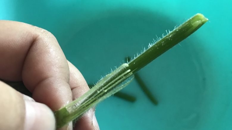 清炒南瓜苗,用小刀辅助,把皮剥下来,剥干净,不然会影响口感。很扎。