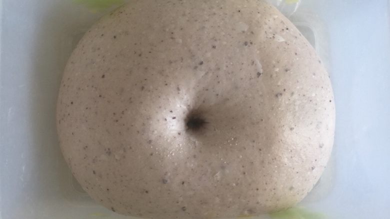 蜂蜜紫米蔓越莓吐司,发酵两倍大,手指沾粉戳孔洞口不回缩不塌陷就可以