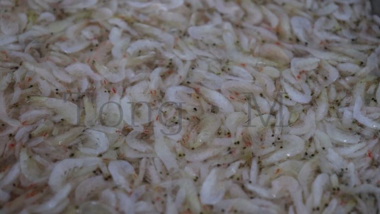 虾皮粉,1、虾皮浸泡清洗,每五分钟换一次水