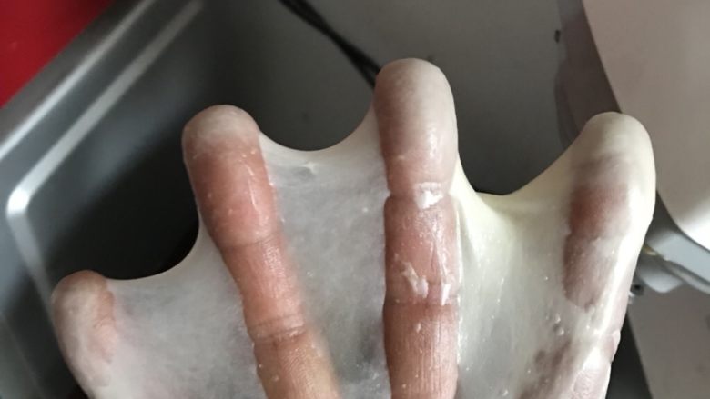 中种葡萄干排包,揉出手套膜。