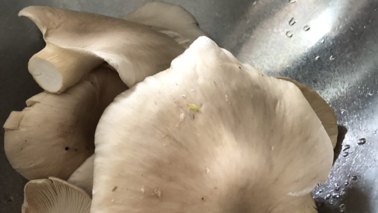 不可思议的菜:脆炸平菇,去掉蒂