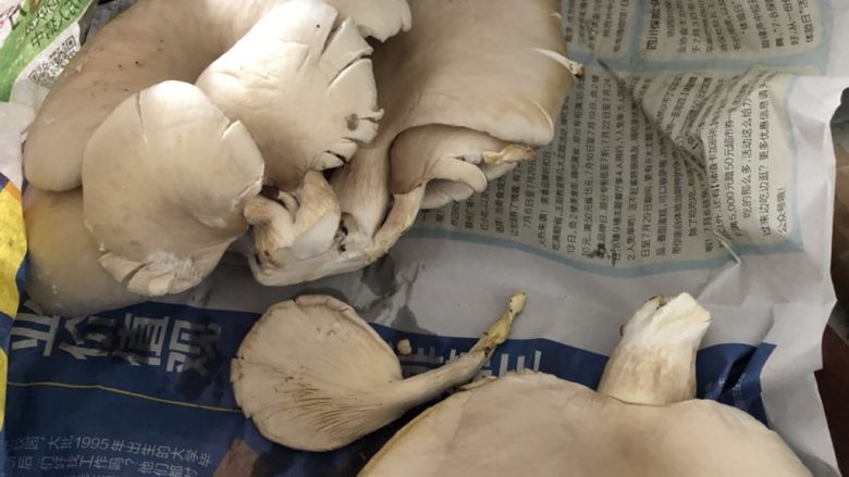 不可思议的菜:脆炸平菇,常用新鲜菌类保存小妙招:报纸!裹住就好,放到冰箱里面。