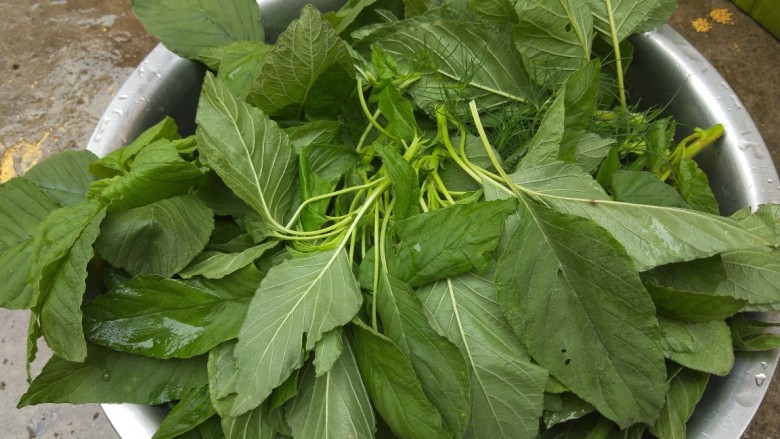 玉米野菜团子,放入盆中洗干净,用开水烧软过凉。