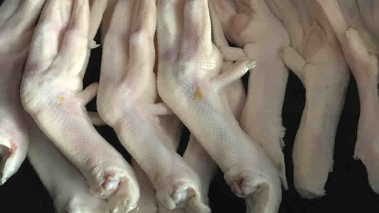沙茶鸭掌,用料中所有食材以及鸭掌一同放入锅中,大火煮开后转中小火煮至只剩少许的汤汁
