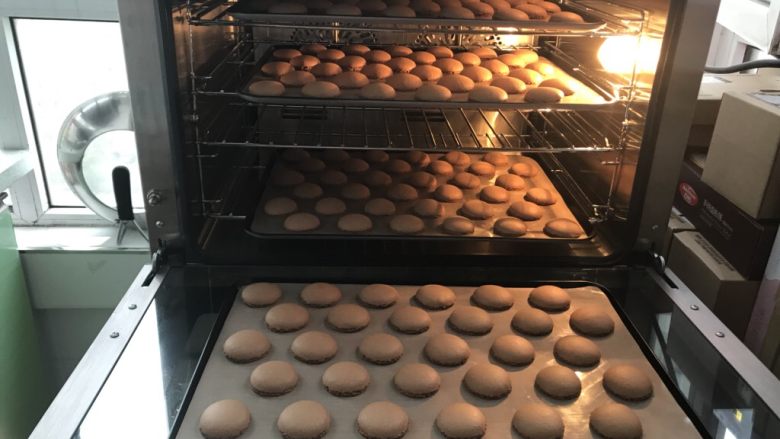 可可咖啡马卡龙—EAT风炉,为了防止最上层上色,预热完后把上加热管温度关闭,全程用热风循环烤即可。