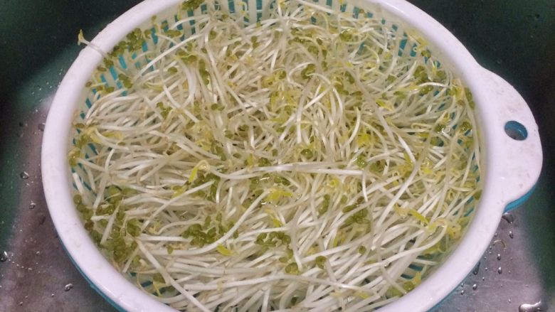 清爽小菜: 凉拌豆芽,豆芽洗干净,去掉豆壳。