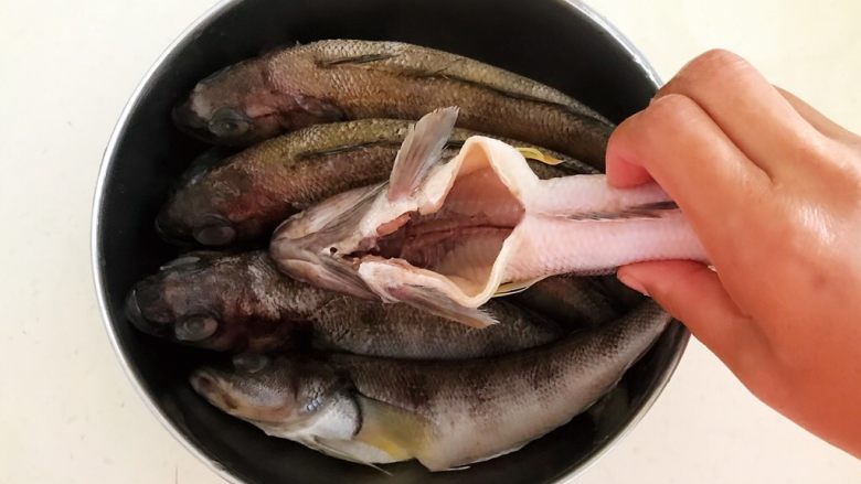 #年年有鱼# 红烧海黄鱼,海黄鱼去鱼鳞,去鱼鳃和内脏,把鱼腹里面的黑膜清理干净
