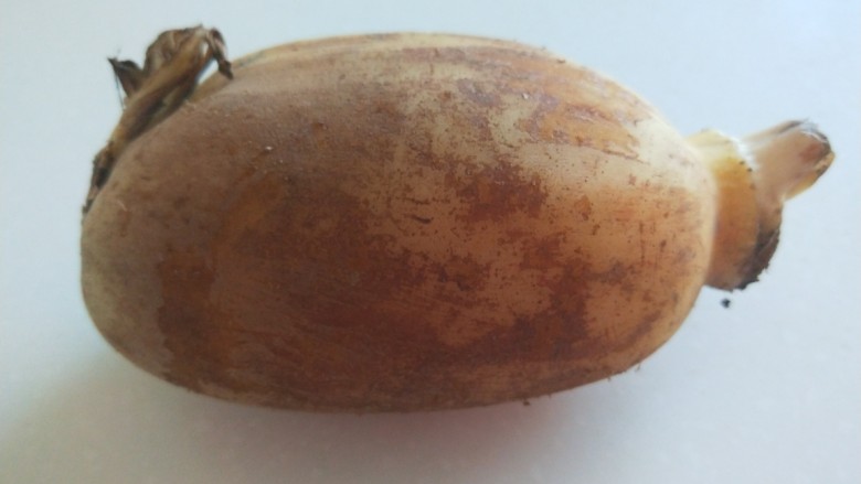 新文美食 糖醋拌莲藕,<a style='color:red;display:inline-block;' href='/shicai/ 30'>莲藕</a>一节洗干净。