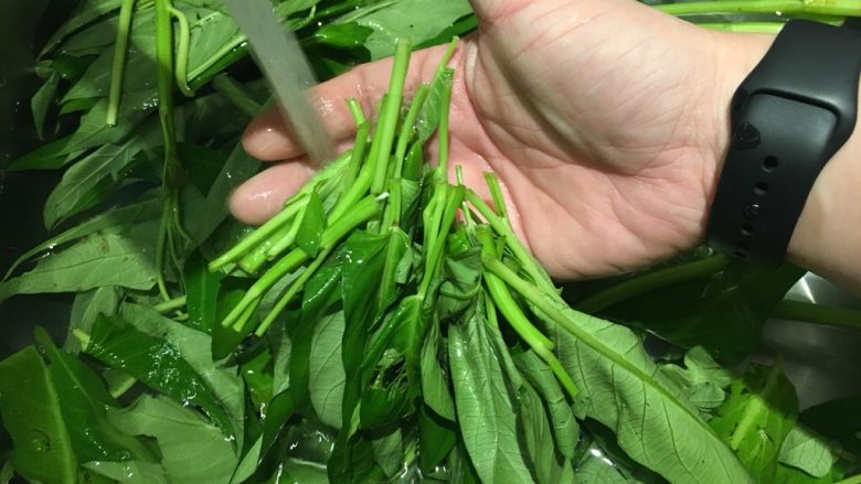 沙茶牛肉炒空心菜,折好菜,多洗几次,沥干备用