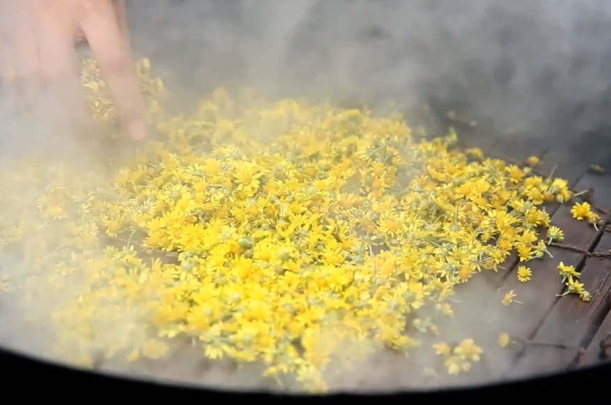 在深山中零成本为自己改造一个画室，再喝上一杯野生金银花茶