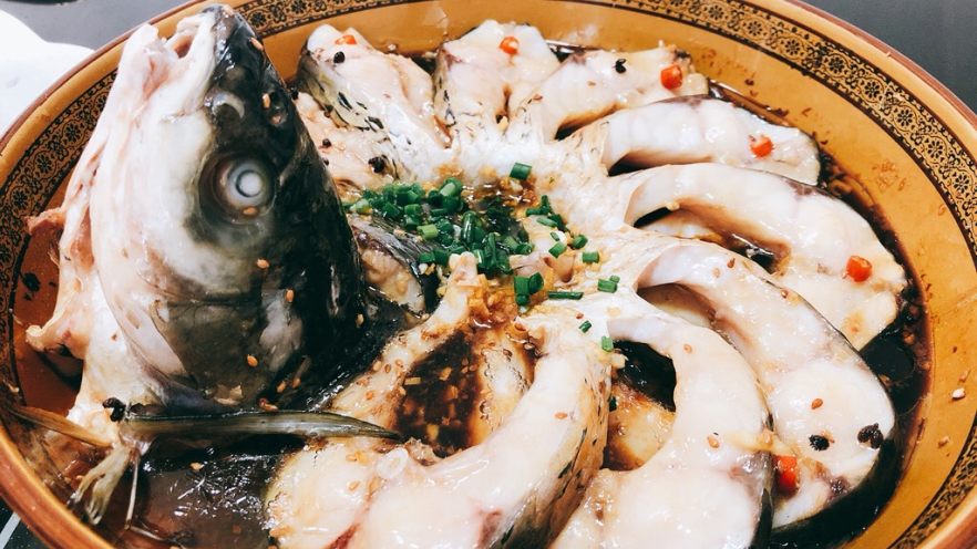 孔雀开屏鱼