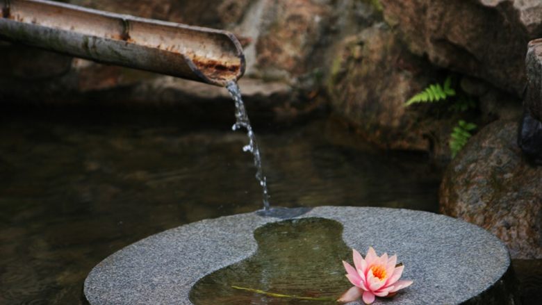 “九蒸九晒”芝麻丸,最纯净的山泉水（阴之气）。
苏州大阳山——菖蒲泉，水清，甘甜，喝一口就神清气爽，菖蒲泉如此清香，其原因，一是泉水源头在山中，没有任何杂质，二是水岸长满菖蒲，久而久之，就使水产生了香气。
菖蒲，是一种多年水生草本植物，有香气。据古籍记载：“菖蒲生涧碛间，采之芳香，一名昌阳，一名尧韭，一名兰荪。”