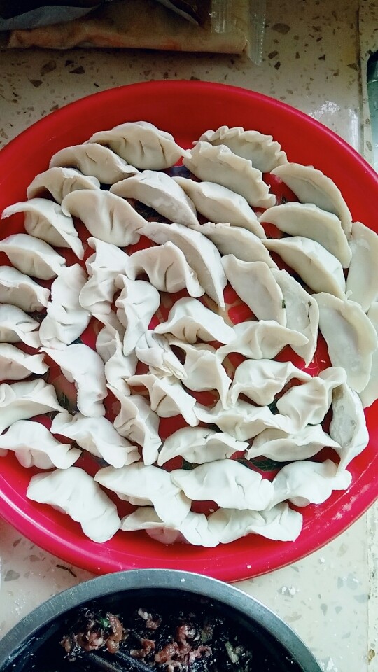 紫菜猪肉饺子(自制饺子皮),包上自己喜欢的肉馅就可以,包的不是很好看,哈哈,对于不会包的小伙伴,只要肉馅不出来就可以