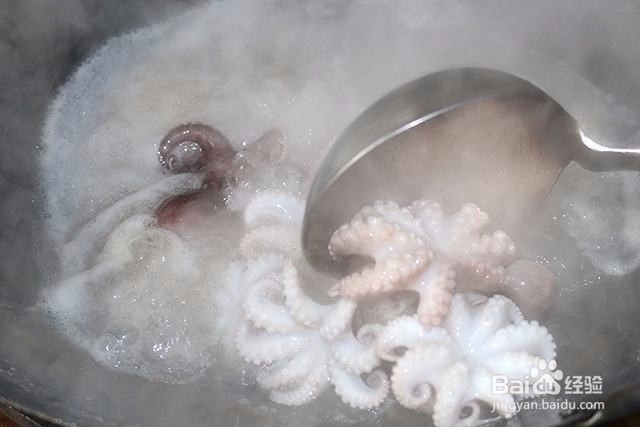冻章鱼,锅中放入适量姜片,烧开水,然后把洗好的章鱼放入沸水中,大概沸水煮个1分钟即可捞出(掌握好火候,煮过头肉质会变老)。