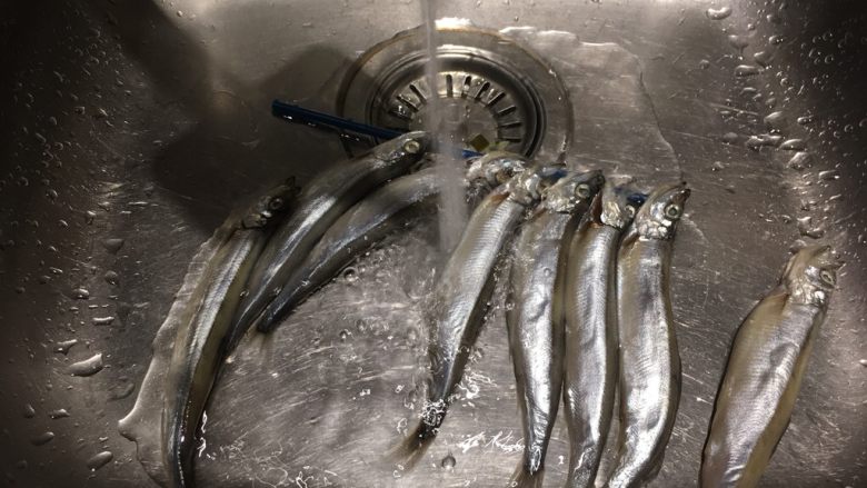 烧烤多春鱼,洗干净就好!不用杀不掏腮!