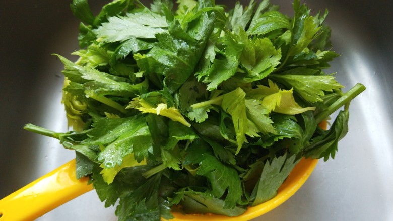 新文美食 麻油凉拌芹菜叶,洗干净的芹菜叶放入漏筐控水。