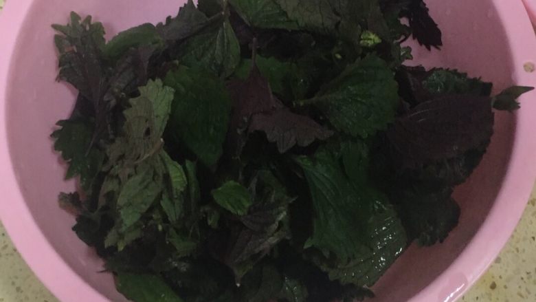 花甲,洗干净紫苏