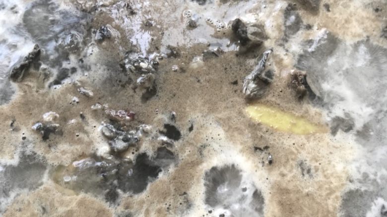 乌鸡汤,大火烧开沸腾4-5分钟。