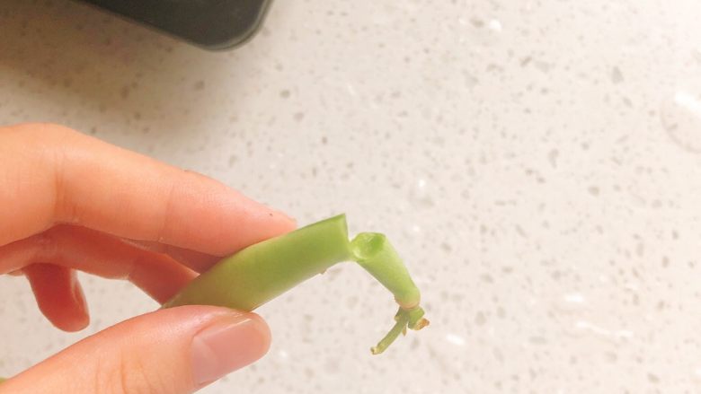 爆炒四季豆-适合上班族的快手菜,头尾掐掉,并将一根豆子折成2~3段。