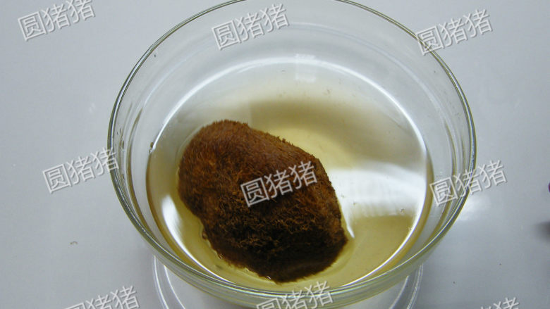 猴头菇煲鸡汤--如何处理猴头菇?,用一碗水,1小匙细盐,浸泡隔夜。