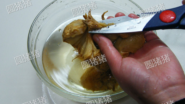 猴头菇煲鸡汤--如何处理猴头菇?,第二天早上将盐水倒掉,再反复换水洗几次,把菇蒂剪掉,再剪成大块。