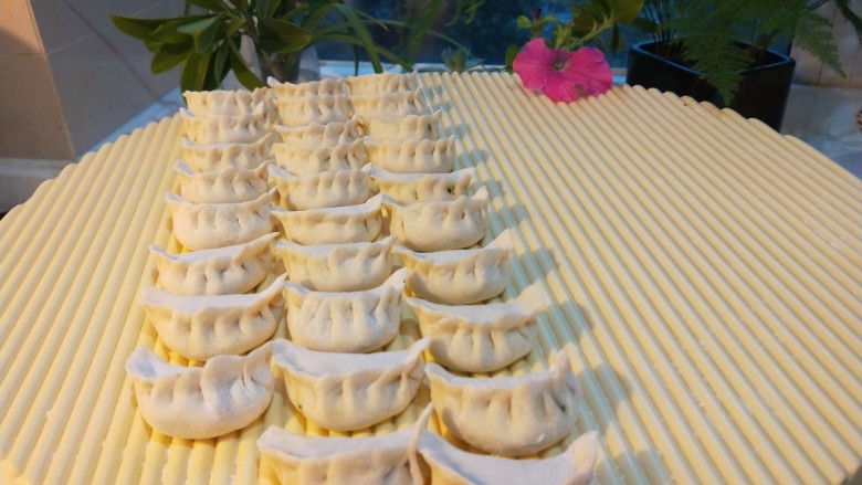 新文美食 小芹菜猪肉饺子,摆放整齐。