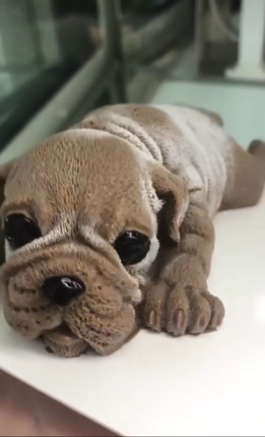 沙皮狗,不懂问我