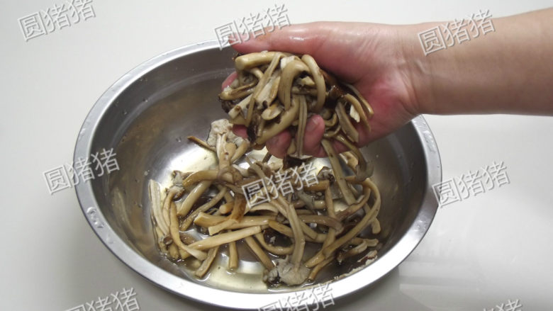 干锅茶树菇,用凉水过凉茶树菇,用手将茶树菇挤干水份。
