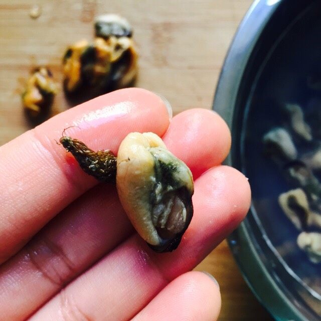 家常菜+淡菜干炒芹菜,浸泡后的淡菜干变软,用剪刀剪掉黑色肠胃
