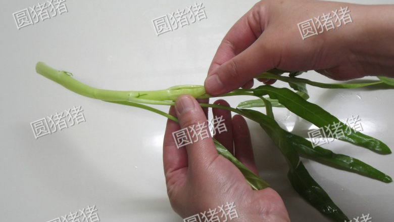 椒丝腐乳炒通菜,通菜用手择成段，尽量让每一段都有叶子。