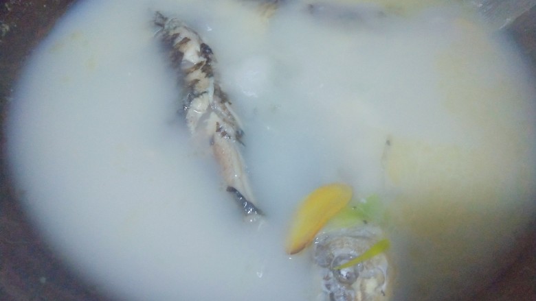 浓郁奶白鲫鱼汤,20分钟就熬到这个程度了,黄色的是油皮,不想吃太油腻的,煮好后把那层油打掉就可以了!全程熬制30分钟以上!