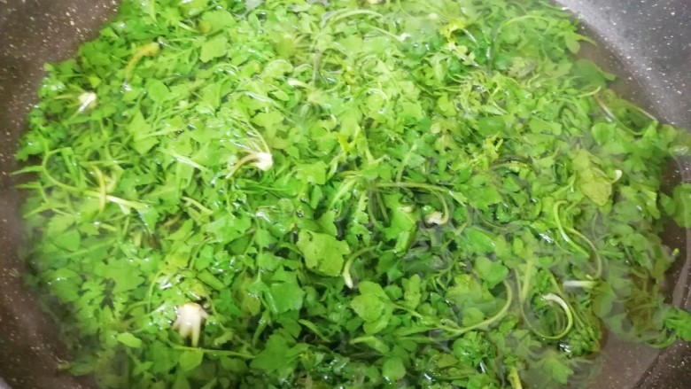 荠菜大肉馅饺子,锅内放水烧开,下入荠菜,加一点盐和食用油再次烧开焯水,焯好的荠菜捞出晾凉备用。