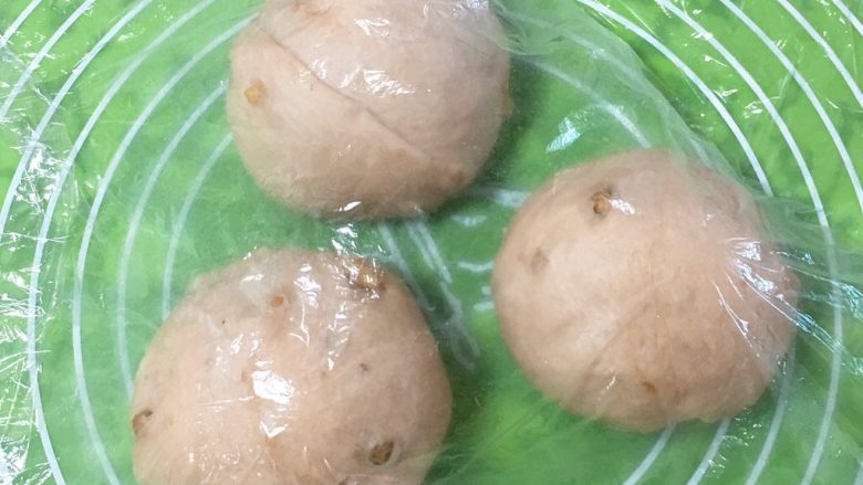 核桃味吐司,分成三个剂子滚圆,盖上保鲜膜静置20分钟。