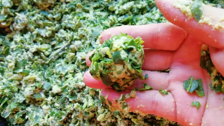 玉米面菠菜菜团,用手来回搓一下,直到面粉和菠菜完全融合,能捏成团,如图。