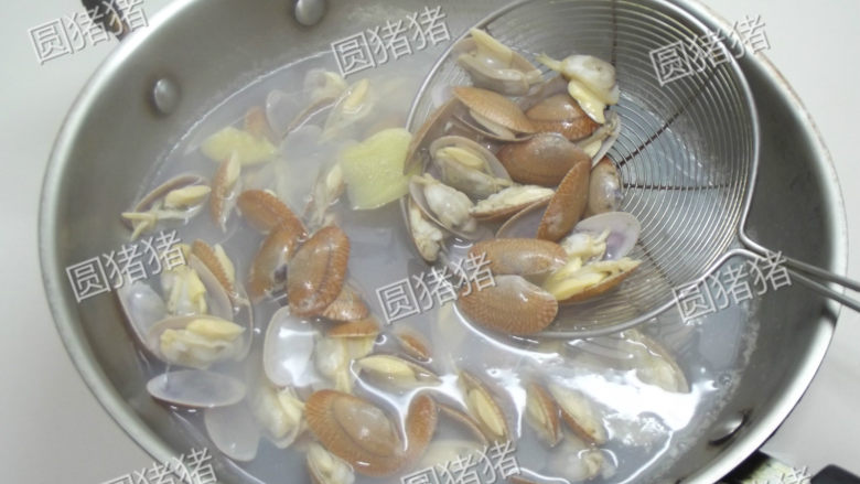 姜葱炒花蛤,锅内放清水,生姜3片,<a style='color:red;display:inline-block;' href='/shicai/ 718'>料酒</a>2大匙,大火煮开后,放入花蛤煮至开壳捞起。