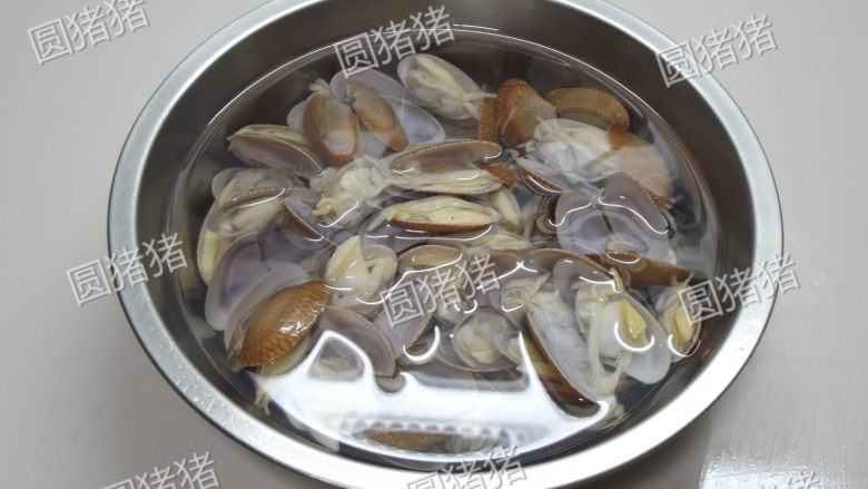 姜葱炒花蛤,将开壳的花蛤放入清水中,逐个清净干净肉里面的沙质。
