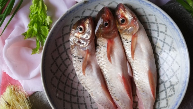 豉汁蒸鲮鱼腩,鲮鱼腩买回来清理干净鱼鳞、鱼鳃,刮干净肚子里的黑膜,用清水冲洗干净,沥干水分。