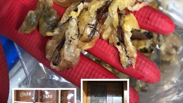 牛奶红枣炖雪蛤(林蛙油),林蛙油,因为干湿程度不同,呈现状态也不太一样