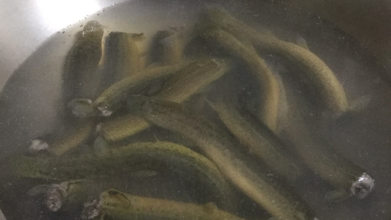 耙泥鳅,将洗净的泥鳅放入锅中焯一下水,去除泥鳅的腥气。
