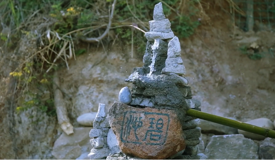 修个会骂人的的鱼池，再做盆美味酸菜鱼吃个精光