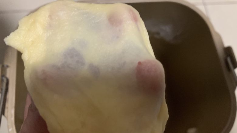 香葱芝士牛肉肠面包,揉面团至完全扩展状态,即能扯出手套膜的样子。