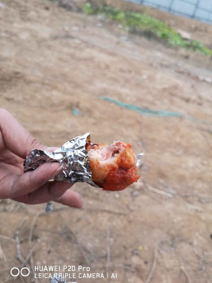 野外炭烧鸡腿,玉米!,嫩!!香!!炭烧果然味道不错!