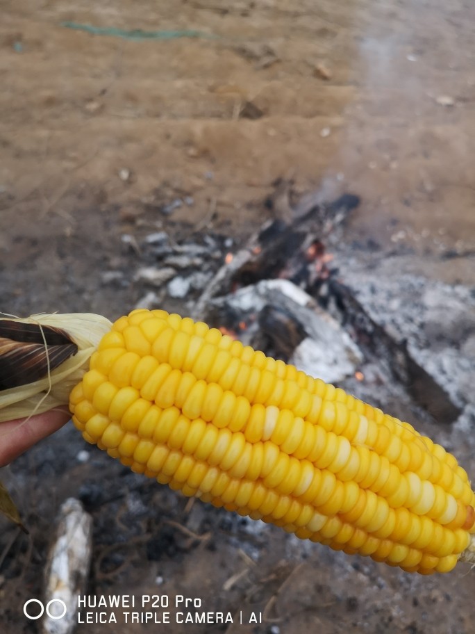 野外炭烧鸡腿,玉米!,香甜可口 鲜嫩多汁!
