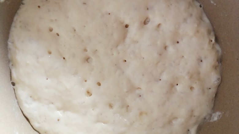 坚果吐司面包～波兰种,波兰种制作，原料放一起发酵至有这样的泡泡就可以用了。也可以头天晚上直接冷藏发酵第二天用。