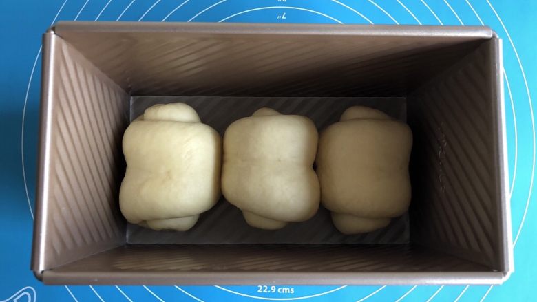 超简易吐司,三个全部卷好后摆入吐司模具中,盖好盖子,放到温暖的地方进行二次发酵
