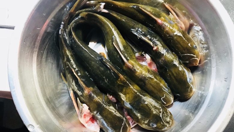 昂公炖豆腐,昂公洗净,沥水备用