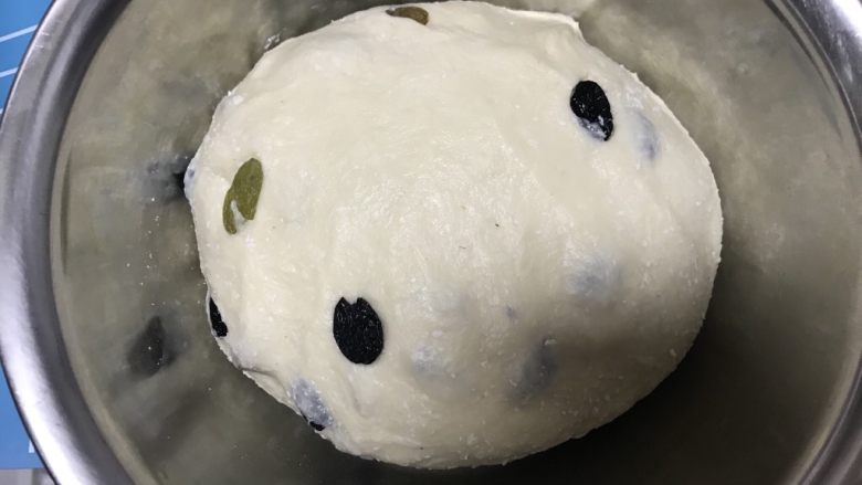 葡萄干早餐小面包,盖上保鲜膜开始发面,大约2小时后面团发至一倍大